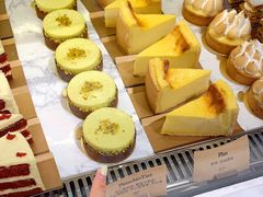 -Madeleine玛德琳(永平里店)