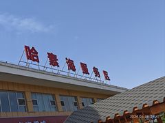-哈素海