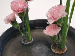 -小厨娘淮扬菜(清江苏宁广场店)