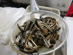 -孙家面馆(淮海第一城店)