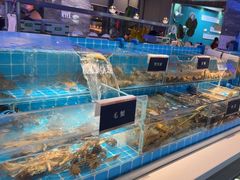 -渔纬港海鲜自助餐厅(湖里万达店)
