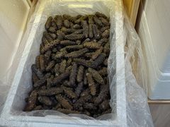 -宫品海参专卖店(静安大宁店)