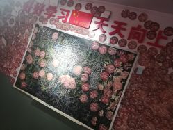 -荟华楼金店(中街店)