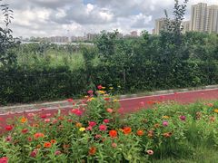 -菊园百果园