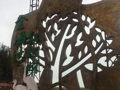 -北海金海湾红树林生态旅游区