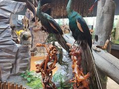 -昆明动物博物馆