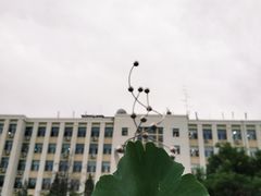 -北京化工大学(东校区)