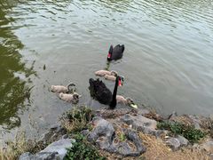 -珠海圆明新园