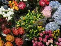 -双季花艺园艺市场(浦东店)