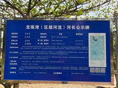 -万绿园