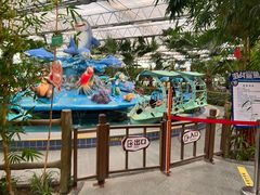 -南宫五洲植物乐园