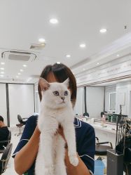 -镁连社·美联社