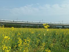 -光明小镇欢乐田园