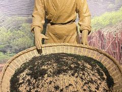 -信阳博物馆