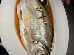 清蒸白水鱼-醉庐·新上海菜(南京西路店)