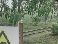 -永定河休闲森林公园