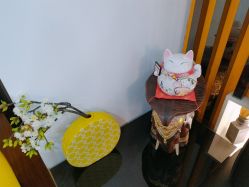 -Let's beauty莱恩轻奢皮肤管理