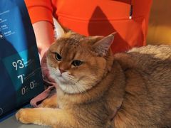 -MARSMART PETS火星宠物超市(1733店)