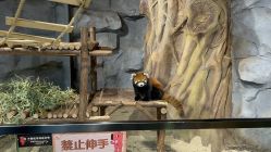 -Zoolung Zoolung动物主题公园(海信广场店)