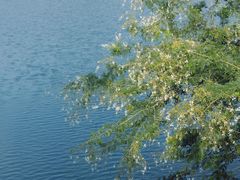 -水濂山森林公园