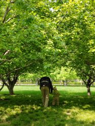 -大望京儿童游乐场