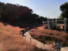 -牛岗山公园