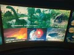 -上海昆虫博物馆