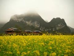 -靖西鹅泉风景区