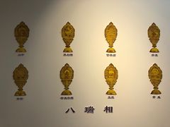 -包头博物馆
