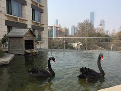 -南京圣和府邸豪华精选酒店