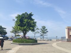 -鼓浪屿内厝澳码头(轮渡站)