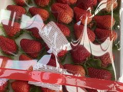 -西郊国际农产品交易中心