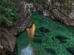 -石台牯牛降景区