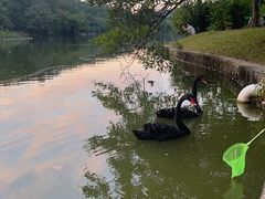 -广州市石门国家森林公园