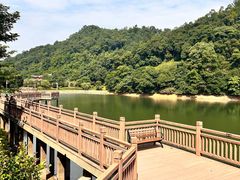 -桃花岭景区