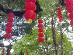 -荔湾湖公园