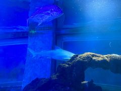 -常州海昌海洋探索馆