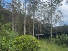 -广州白江湖森林公园