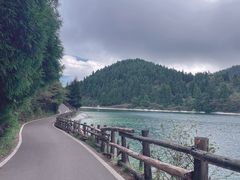 -武陵山森林公园