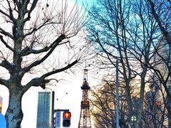 -札幌电视塔