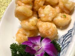 -伊兰津范儿