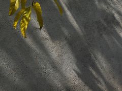-悦哉·派对·草坪婚礼·围炉煮茶(三圣乡店)