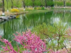 -大兴滨河森林公园