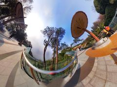 -铁山坪森林公园