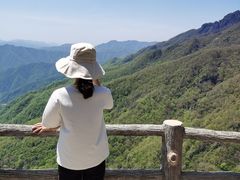 -牛背梁国家森林公园