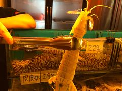 -鲜入围煮花胶鸡海鲜火锅