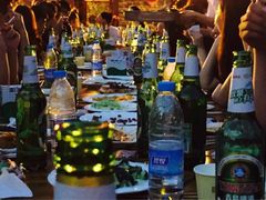 -陆地游轮吉林神农温泉