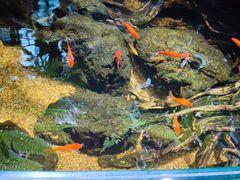 -太平洋海底世界