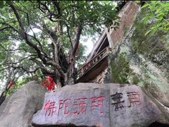 -玻璃桥景区石牛寨