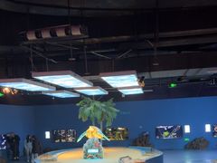 -重庆欢乐海底世界